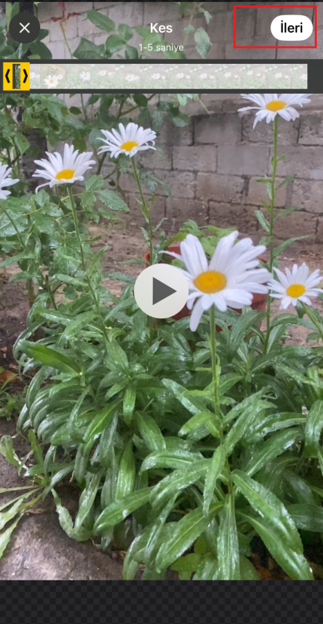 WhatsApp videolu Sticker WhatsApp videolu Sticker