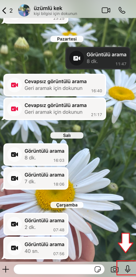 WhatsApp Tek Seferlik Dinlenebilen Sesli Mesaj