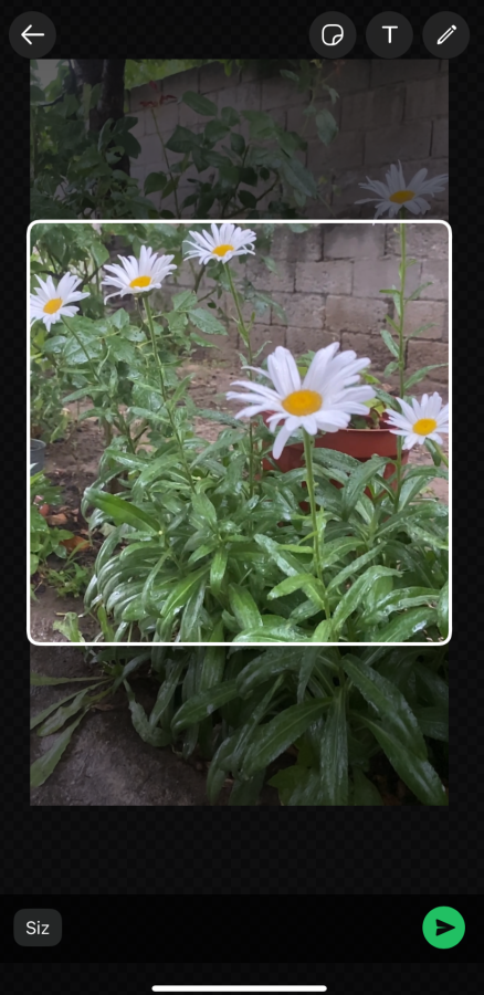 WhatsApp üzerinde videolu Sticker oluşturma WhatsApp üzerinde videolu Sticker oluşturma