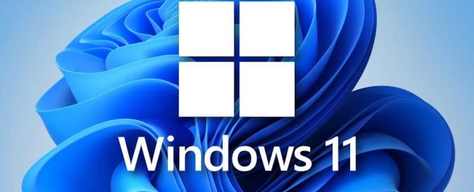 Windows 11 İnternet Erişimi Yok Ama Bağlı Görünüyor