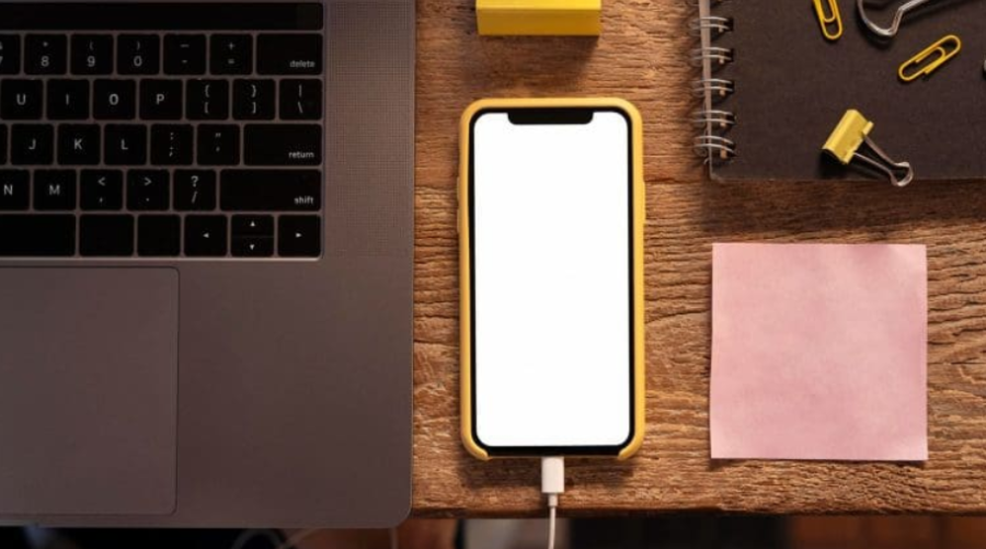 iPhone'da Görsel Arama Özelliğine Erişmenin 3 Yolu adımlar