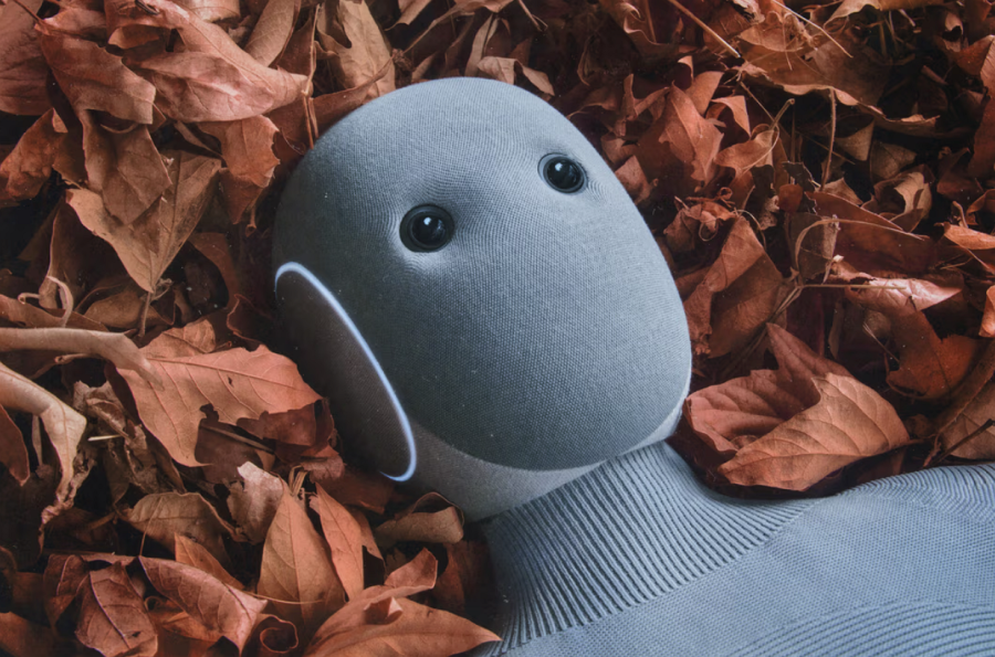 1X Neo İnsansı Robot Özellikleri