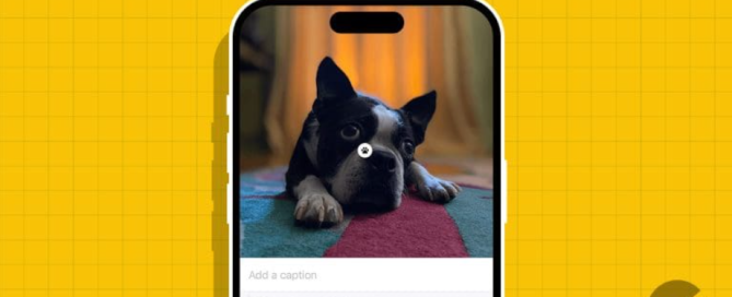 iPhone'da Görsel Arama Özelliğine Erişmenin 3 Yolu