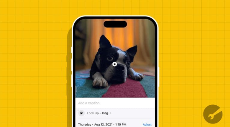 iPhone'da Görsel Arama Özelliğine Erişmenin 3 Yolu