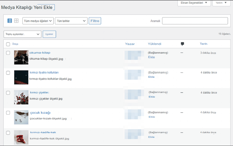 WordPress Veritabanına Ek Dosya Eklenemedi Hatası 