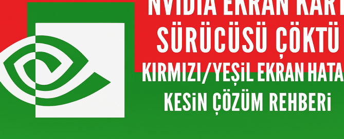 ekran kartı sürücüsü