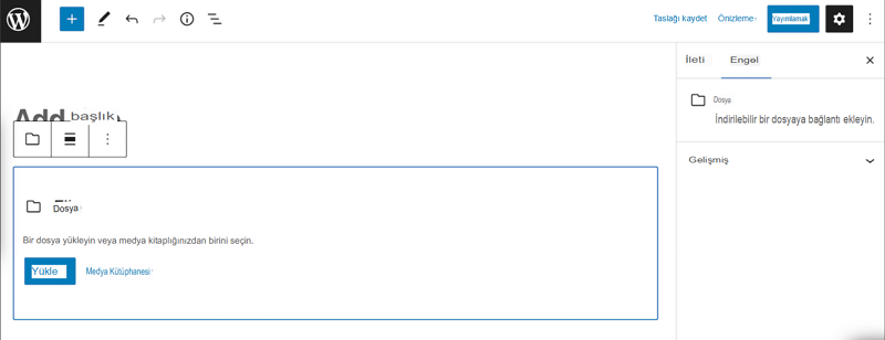 WordPress Veritabanına Ek Dosya Eklenemedi Hatası Çözümü WordPress Veritabanına Ek Dosya Eklenemedi Hatası