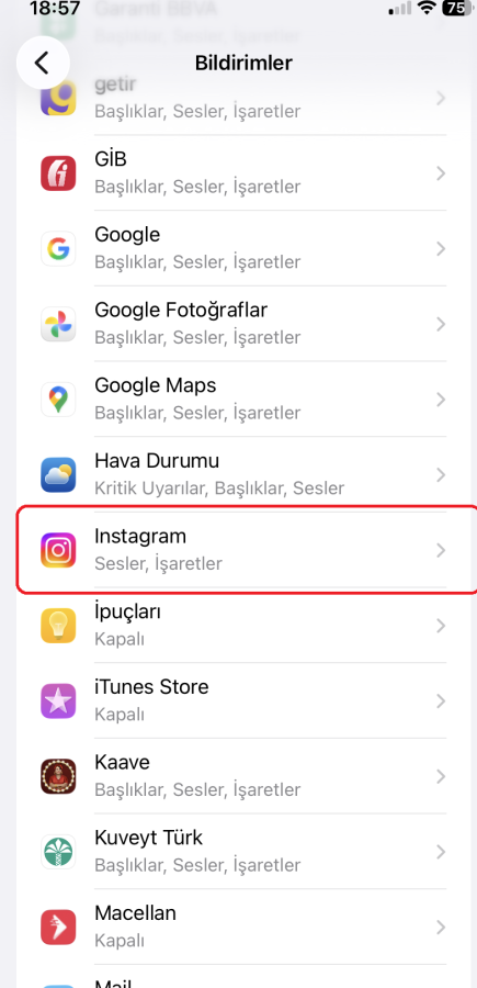 Instagram bildirimlerini uyku moduna alma adımları