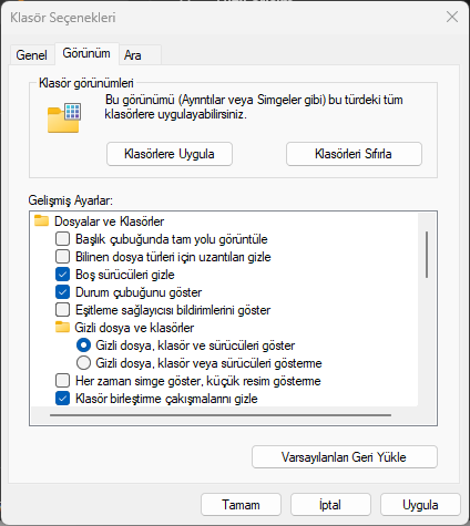 Windows 11 Reklam Engelleme