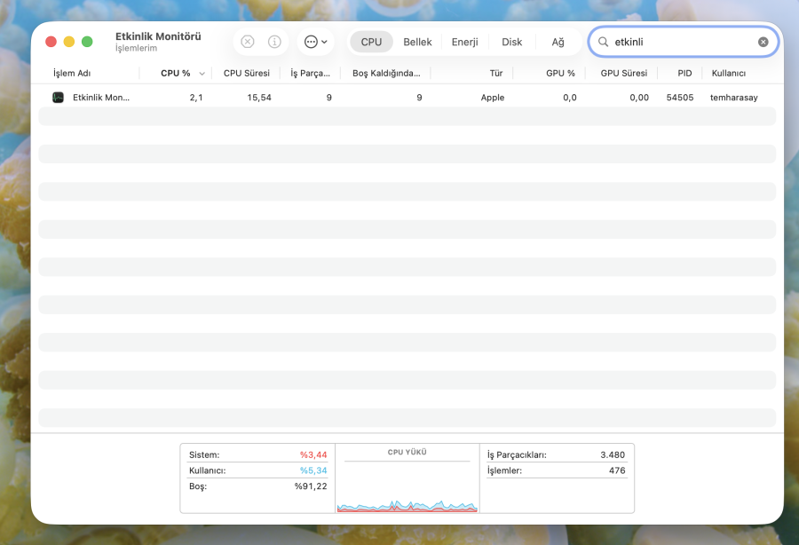 etkinlik monitörü Mac'im Neden Yavaş Çalışıyor