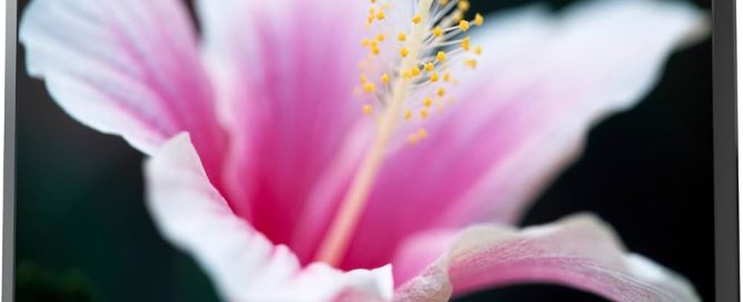 Toshiba TV Netflix açılmıyor sorunu neyden kaynaklıdır