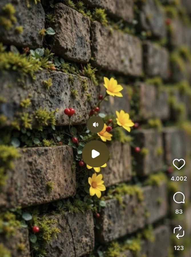 Instagram tek dokunma ile video durdurma Instagram tek dokunma ile video durdurma