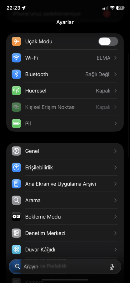 iPhone denetimli erişim