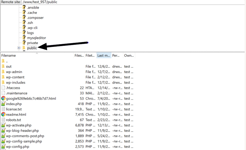 WordPress Planlı Bakım