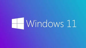 Windows 11 başlat menüsünden web aramaları kapatma Windows 11 başlat menüsünden web aramaları kapatma